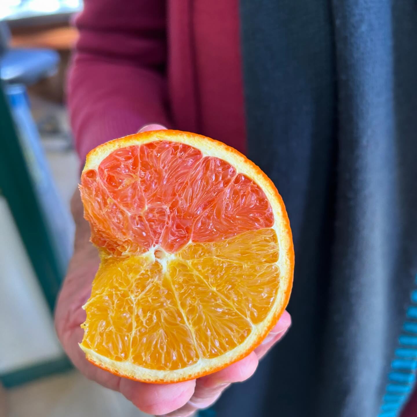 A freshly halved blood orange from the citrus section