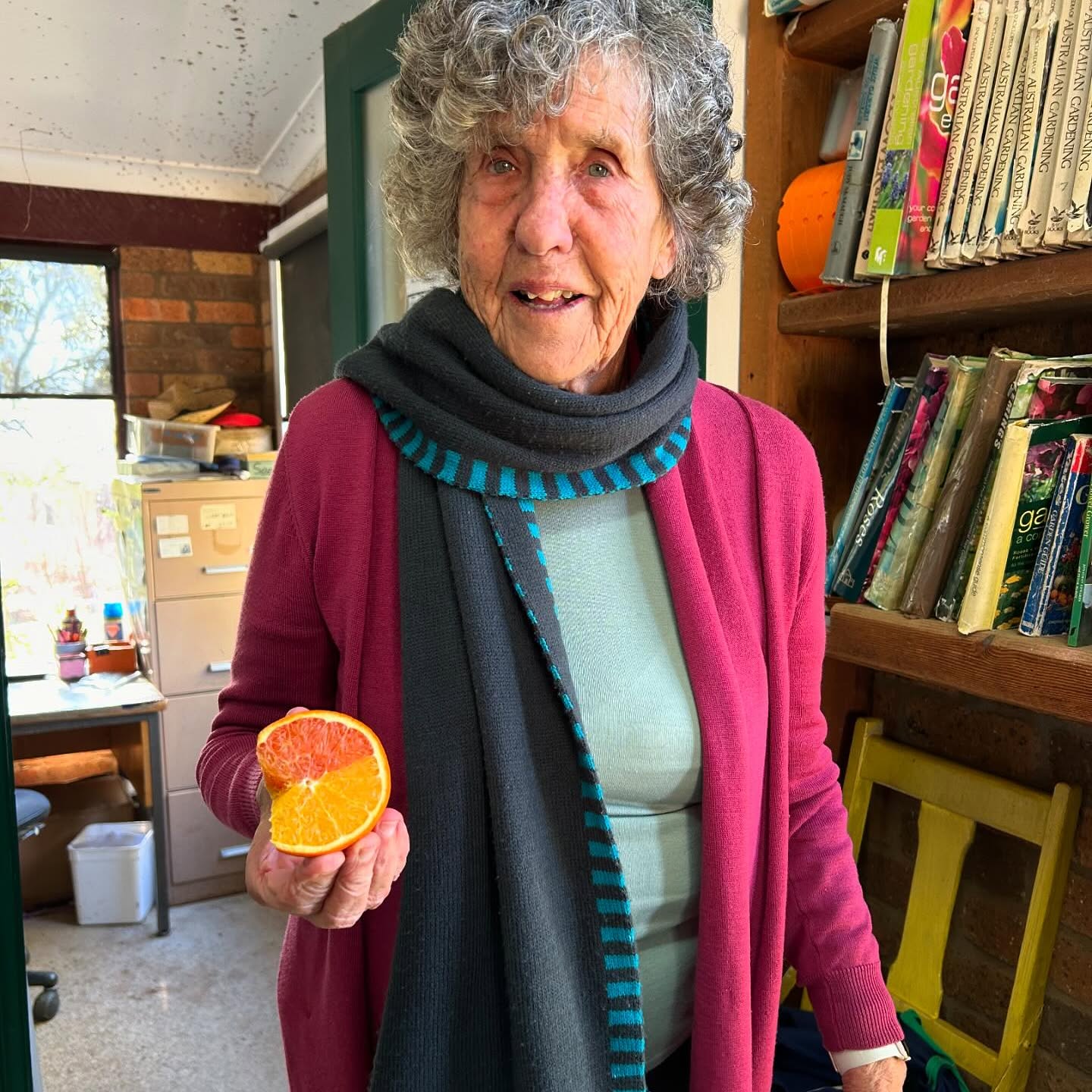Holding up a halved blood orange inside the nursery shop