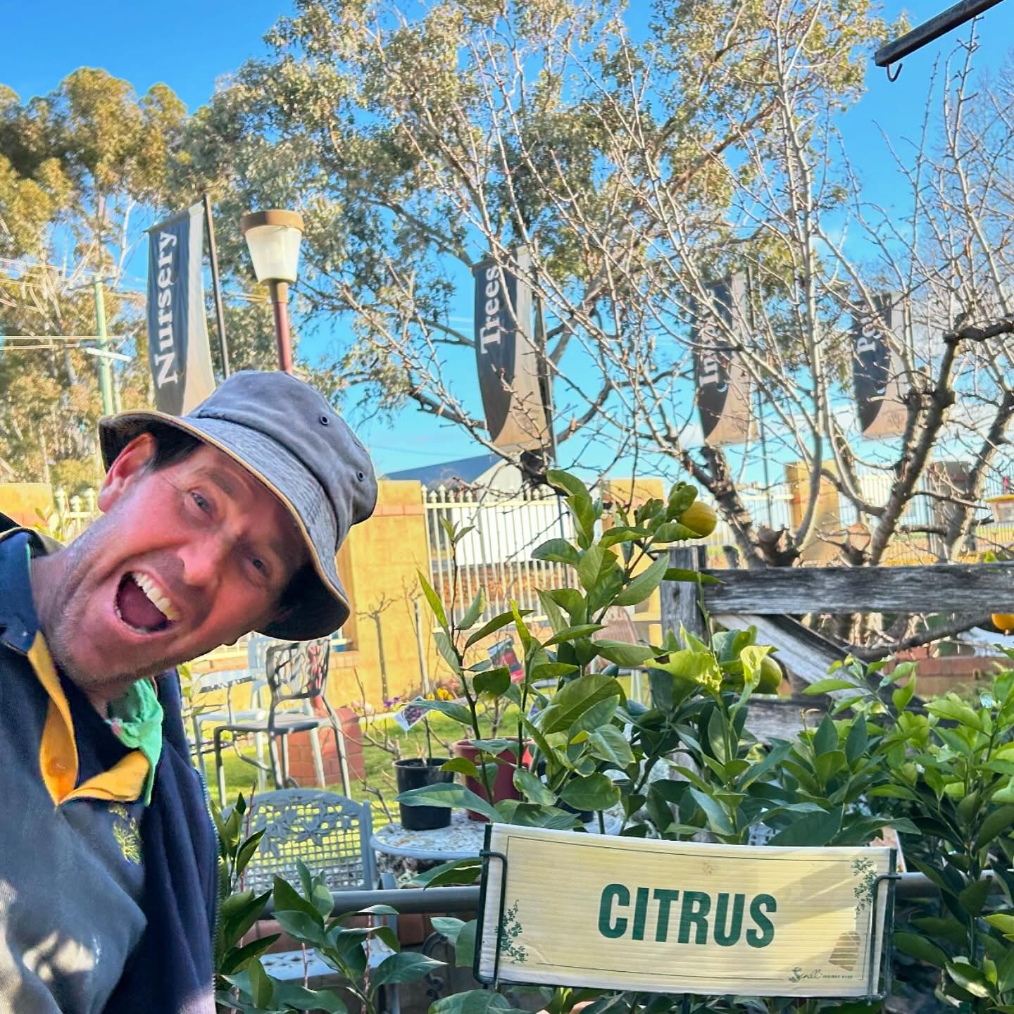 A laugh beside the citrus section at the nursery