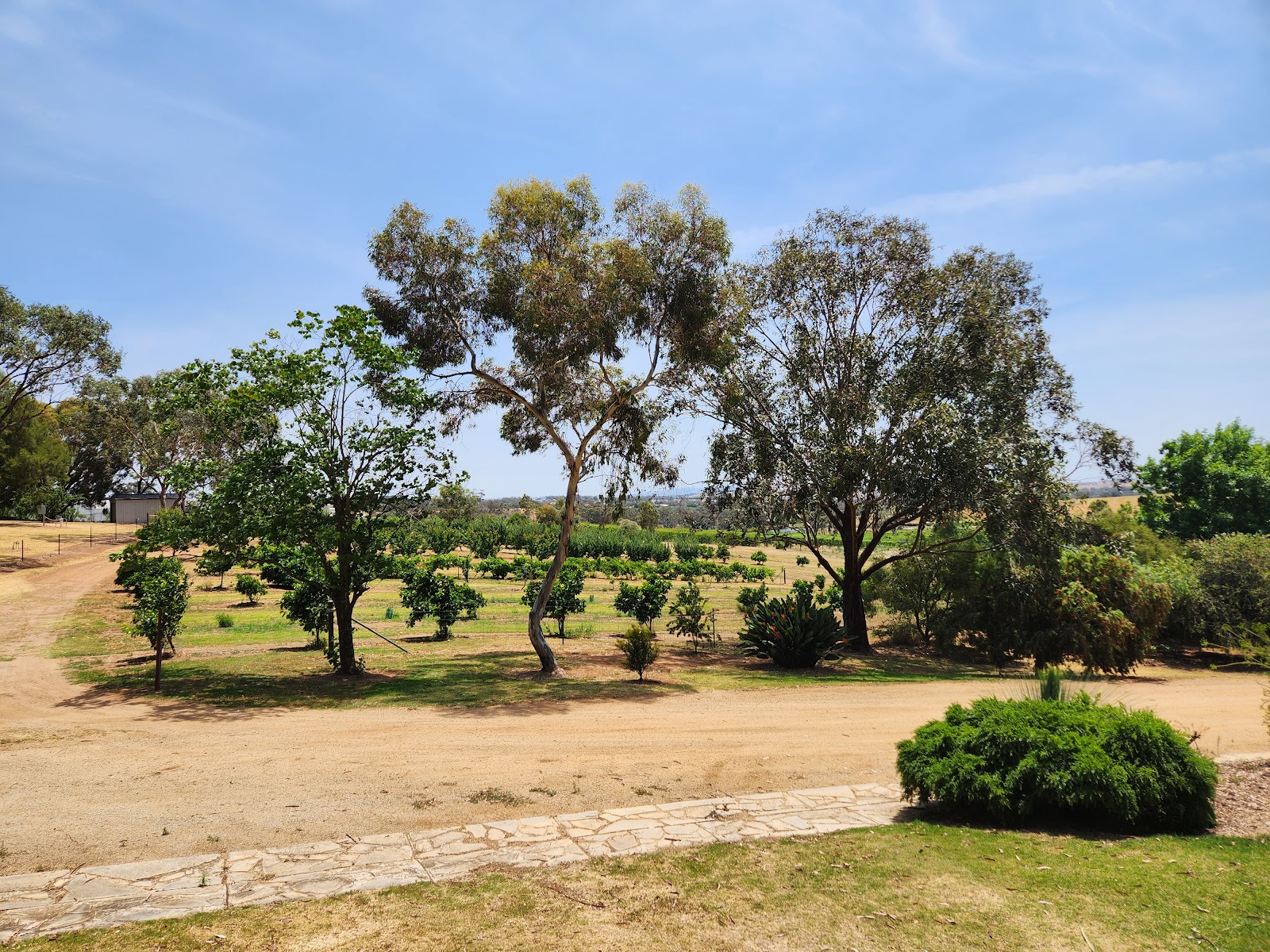 Open grounds and gum trees under a blue sky behind the nursery
